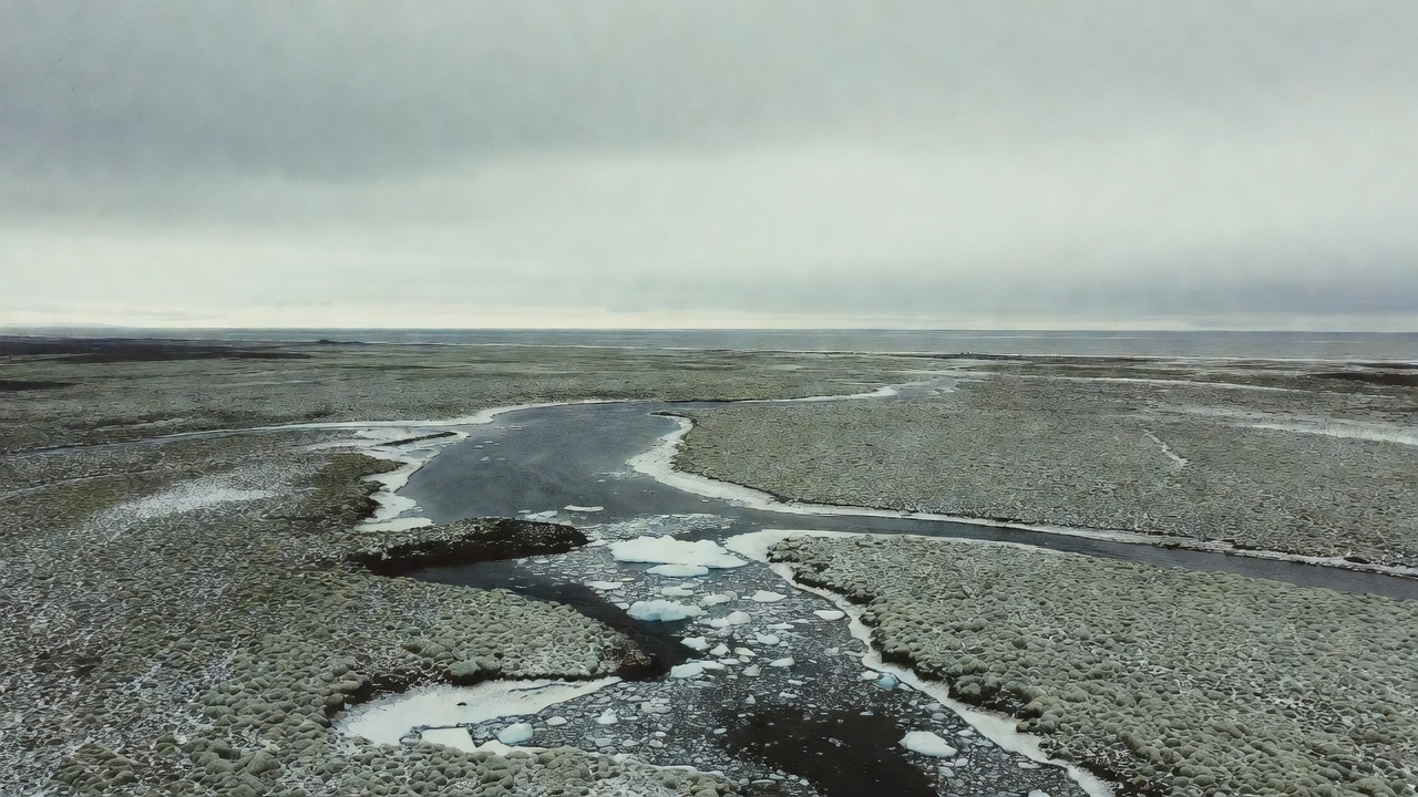 현재의 바르지나강 하구 — 470년이 지난 지금도 영구 거주민이 없는 러시아 북극 오지